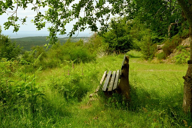 和福仔在比 和福仔在比