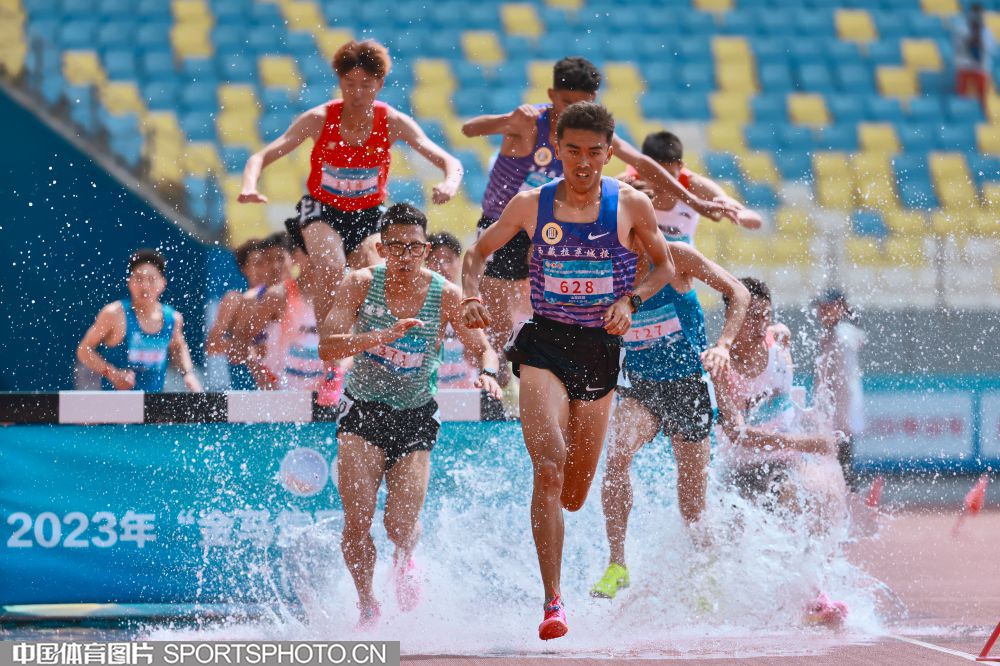 尽管劳燕分 尽管劳燕分