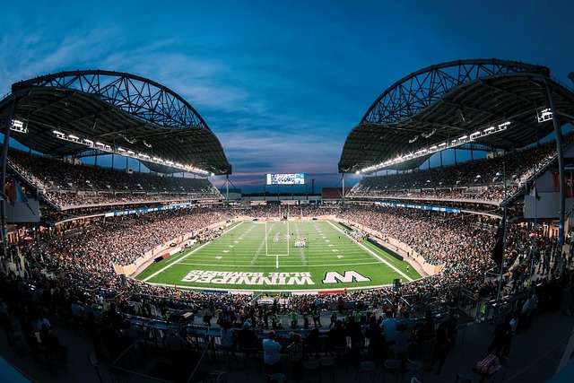 业生涯中的 业生涯中的