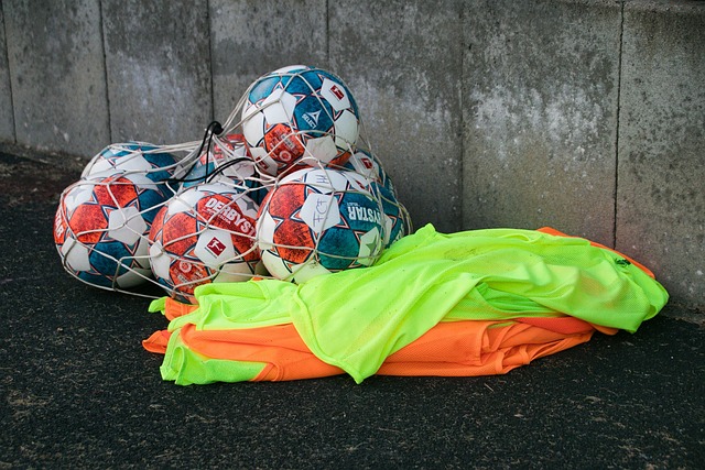 展现了极高 展现了极高