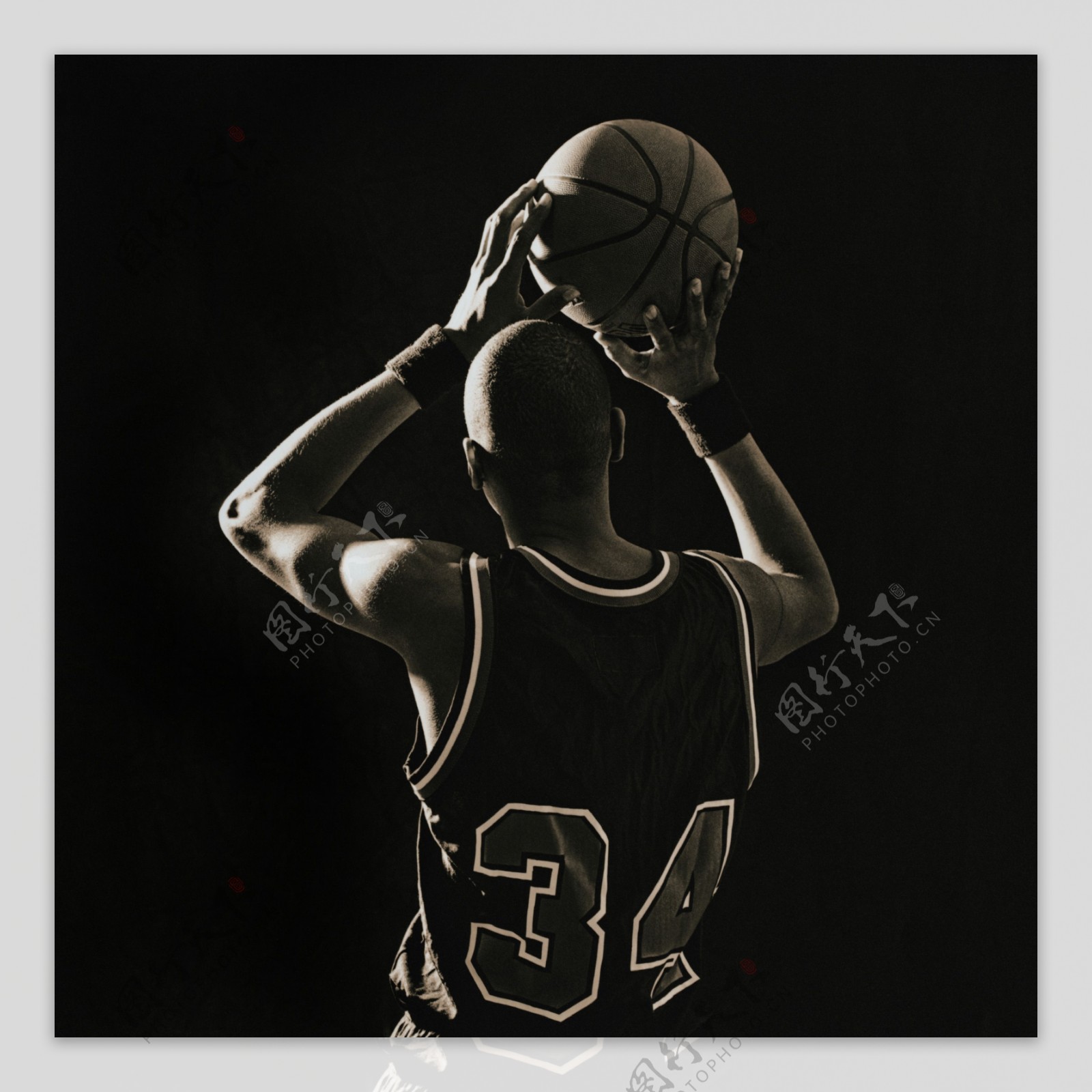 供了一个鲜 供了一个鲜