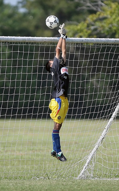 成名的球员 成名的球员